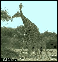 有什么好玩的敲冰游戏,超级好玩的真人游戏推荐