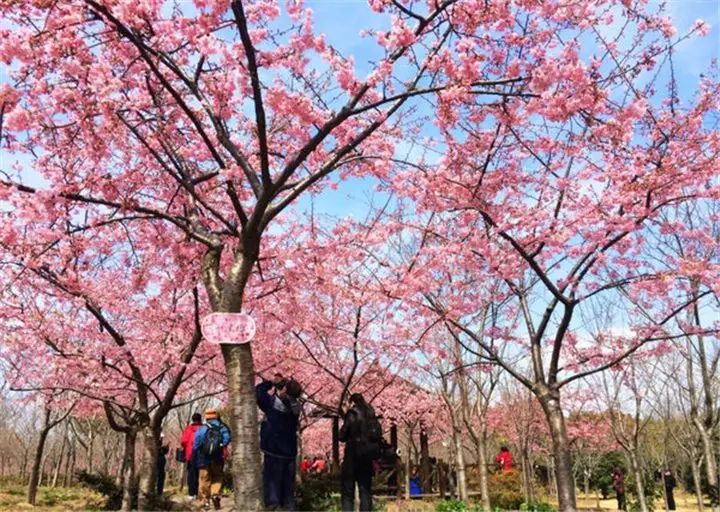 吐血整理！在上海你一定要知道这些