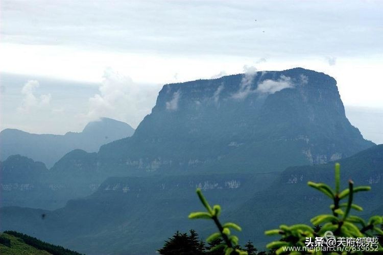 中国百慕大黑竹沟了解一下,穿越黑竹沟揭秘中国百慕大