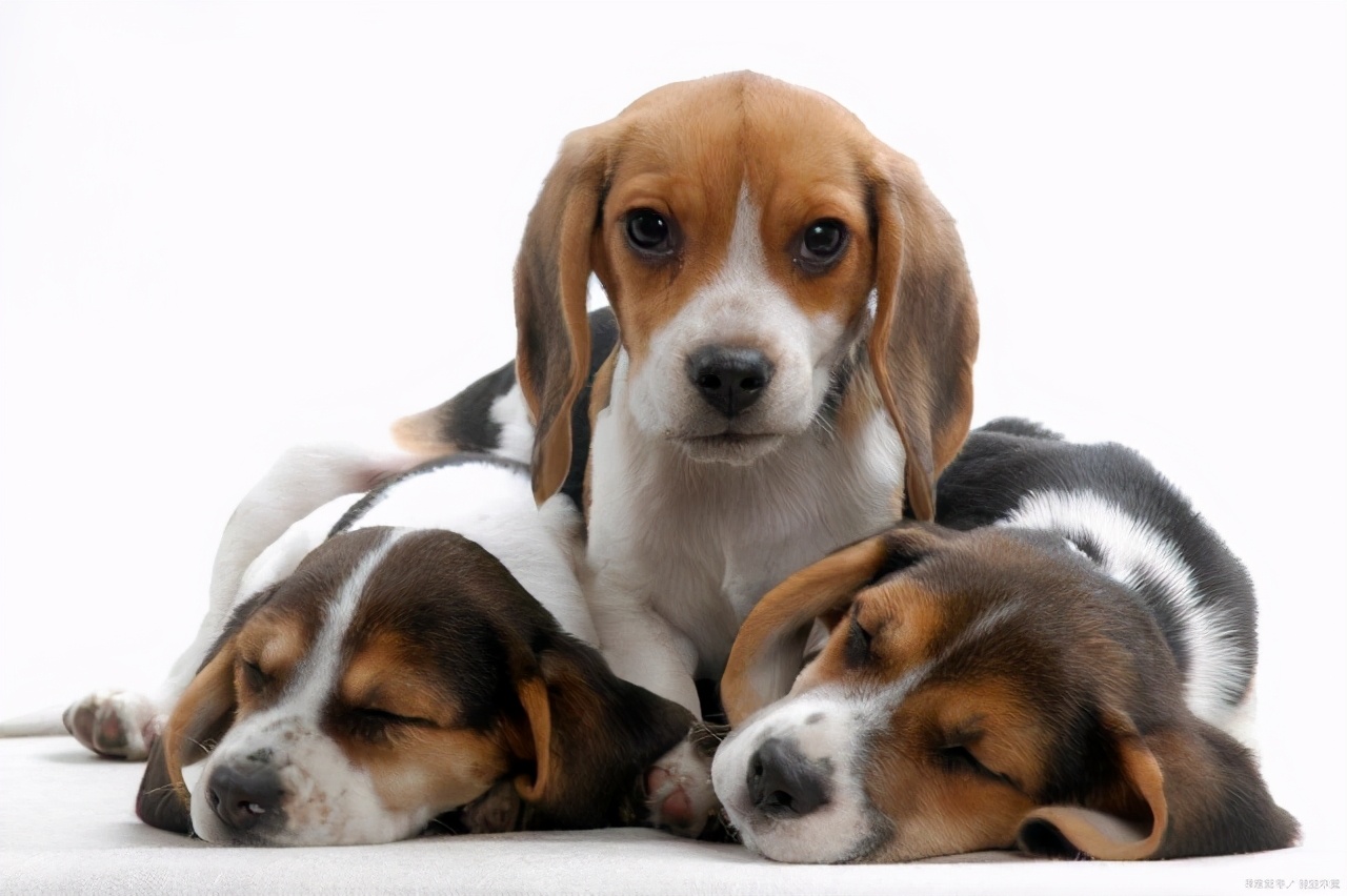 不善于人际交往怎么办教你一招,人际交往太差被讨厌该怎么办