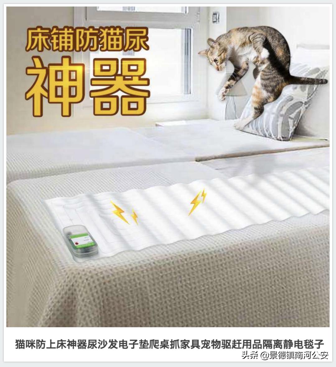 “割声带、截肢、电击，当爱变成我的噩梦”