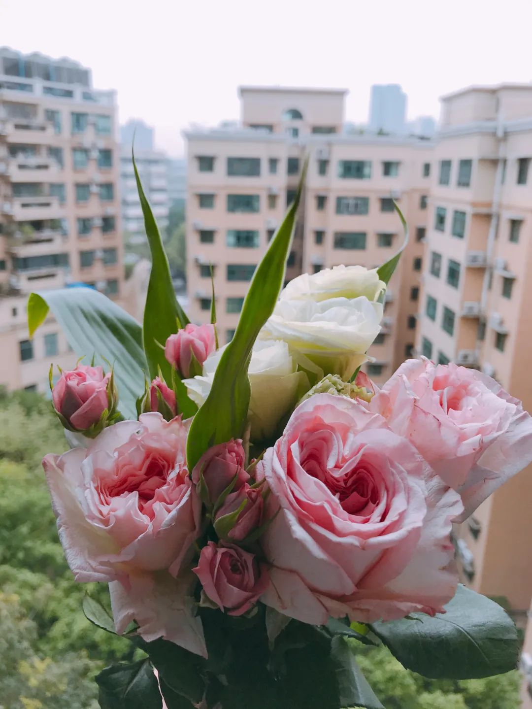 18岁男生最渴望收到的礼物,男生最喜欢收到什么礼物