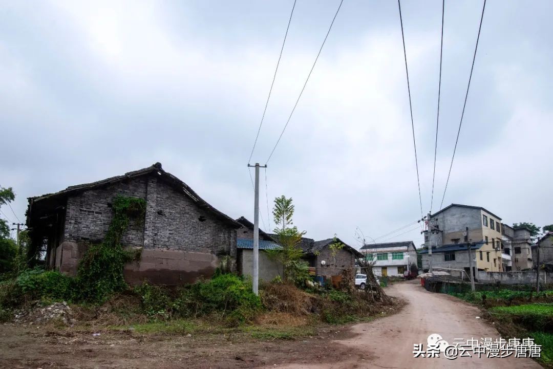 行走的风景岳池,行走的“风景”