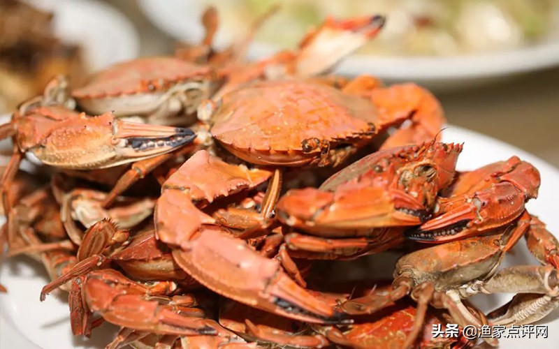 大连这个小岛不去看一看，真的会后悔