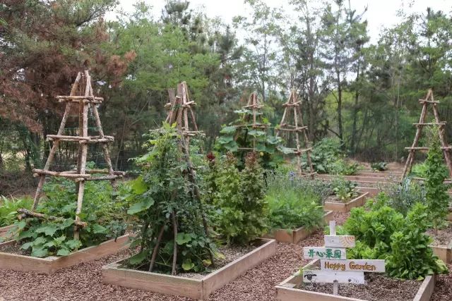 澶氳倝澶х浜屾湪,澶氳倝杈句汉浜屾湪