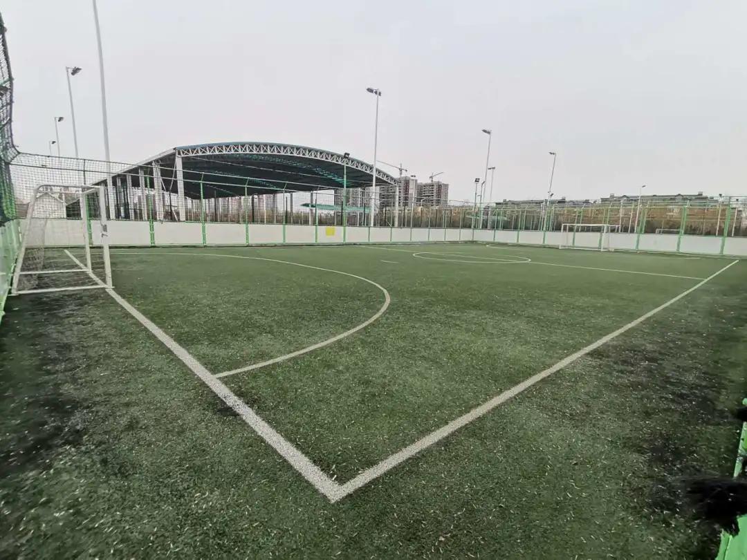 文登市体育公园在哪里,体育场馆恢复正常开放的通知