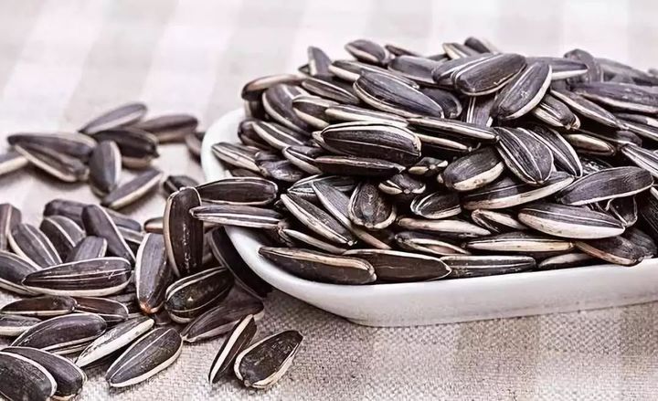 鹦鹉冬季饮食注意什么问题,玄凤鹦鹉的最合理搭配饮食