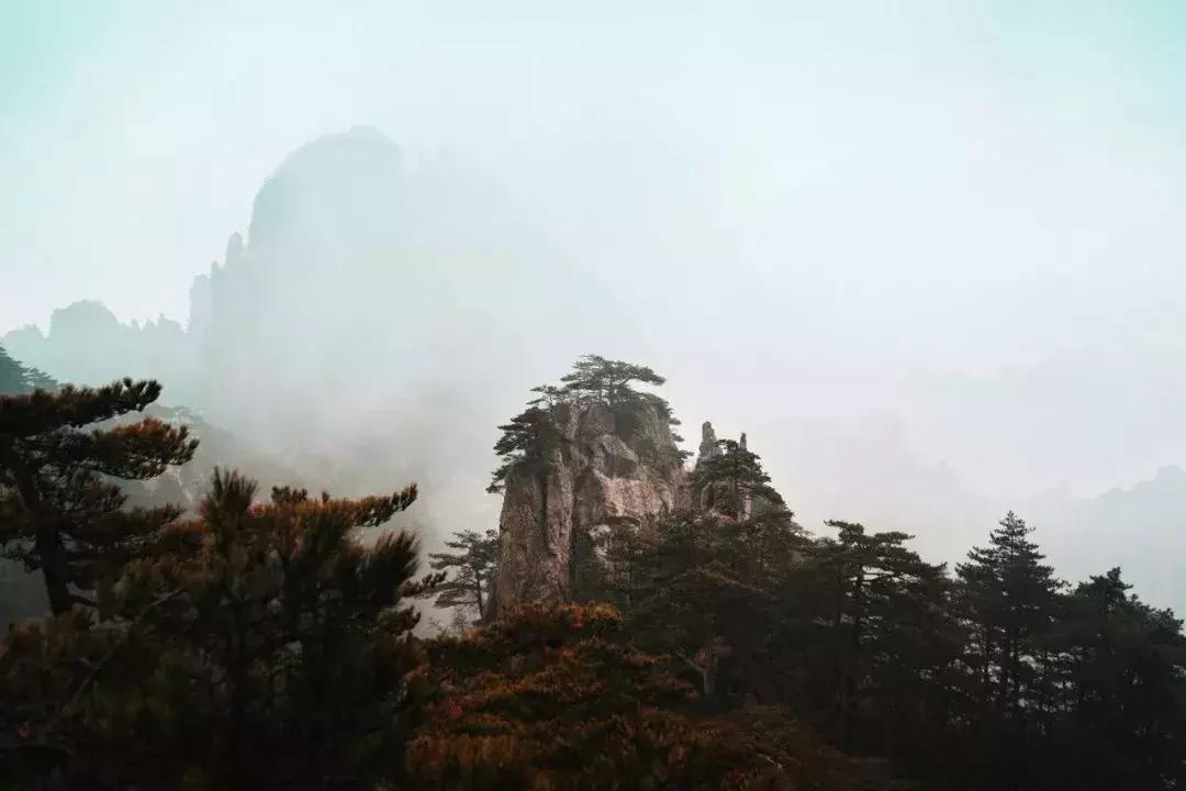 爱茶之人必去的九大茶区,爱茶之人九大茶区