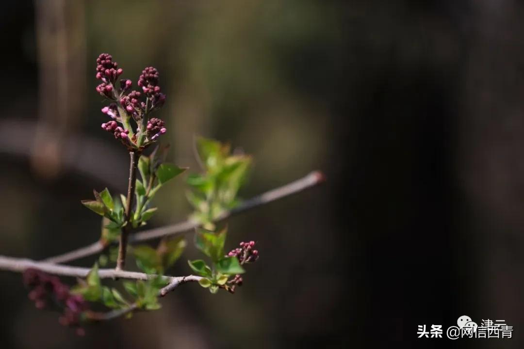 天津2022哪些公园恢复开放,天津临港亲海公园什么时候开放