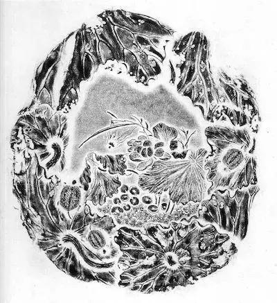 文房四宝的制作材料和独有特征,原来宣纸是这样制作的