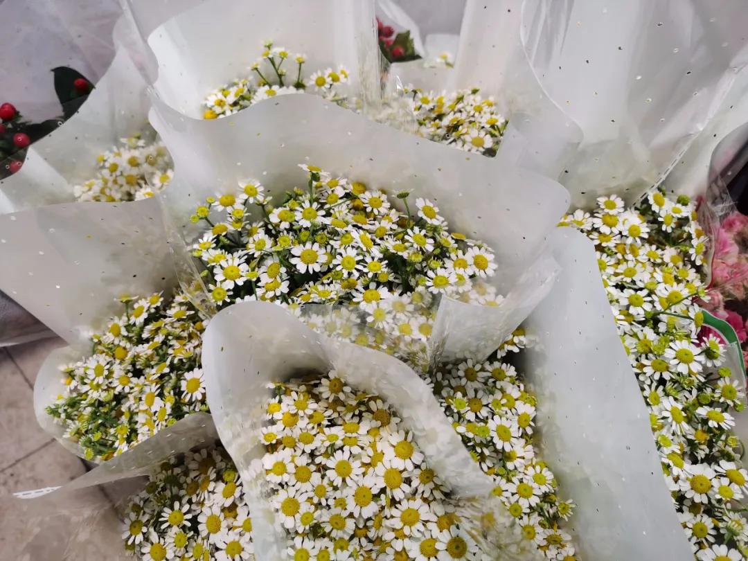 5月岭南花卉市场,红星花卉市场七夕