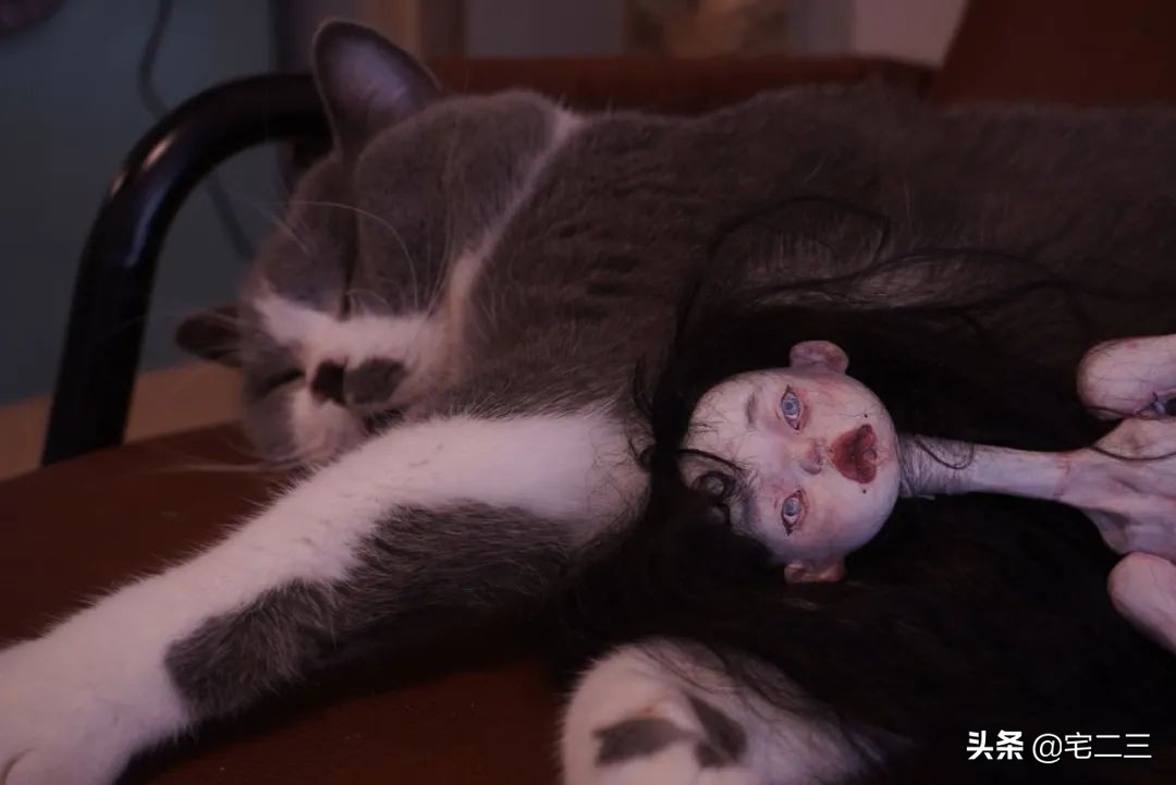 景德镇为什么吸引着年轻的艺术家,景德镇留住年轻人