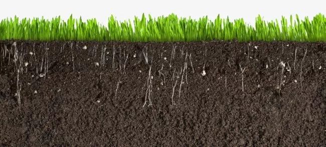 psd立面图素材,行走图片大全高清大图