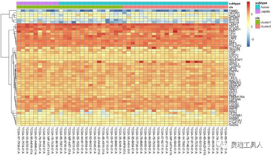 生信分析热图原理,生信分析热图的作用