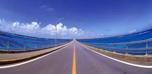 想要买花的在哪里买,想购买菏泽牡丹怎样购