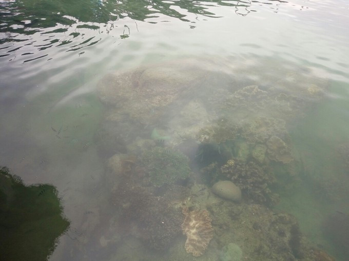 三亚旅游最详细自由行攻略,三亚旅行详细攻略自由行