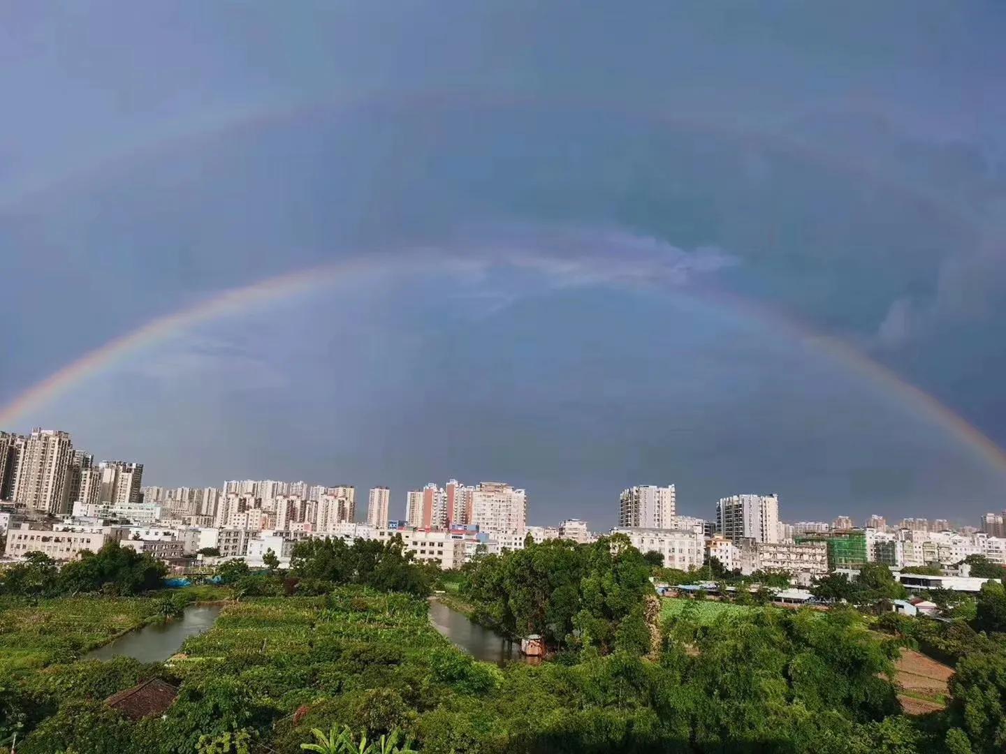 偌大的城市我的栖身之处在何处,偌大的城市容不下一个漂泊的灵魂