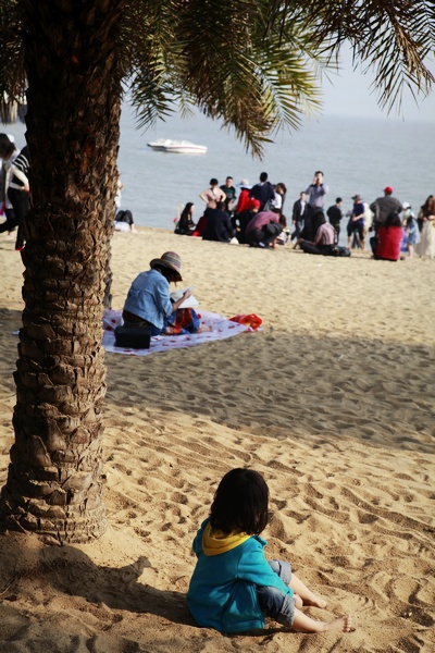最新鼓浪屿一日游旅游攻略,旅游攻略鼓浪屿自由行攻略