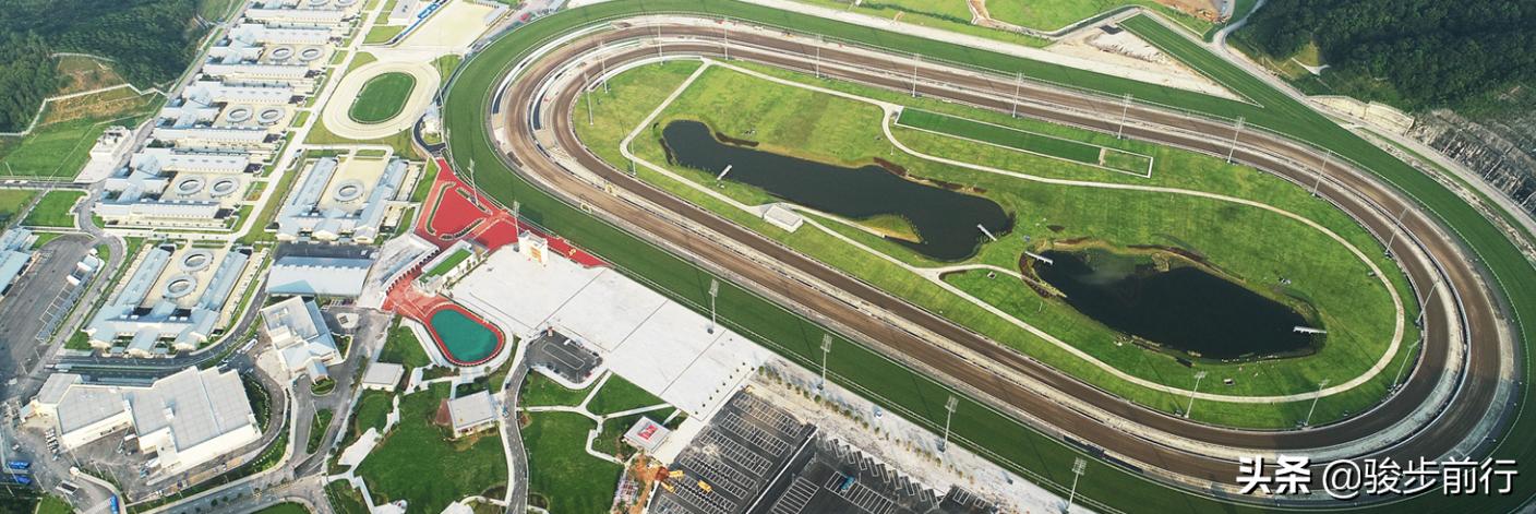 赛马马彩,最新海南赛马产业