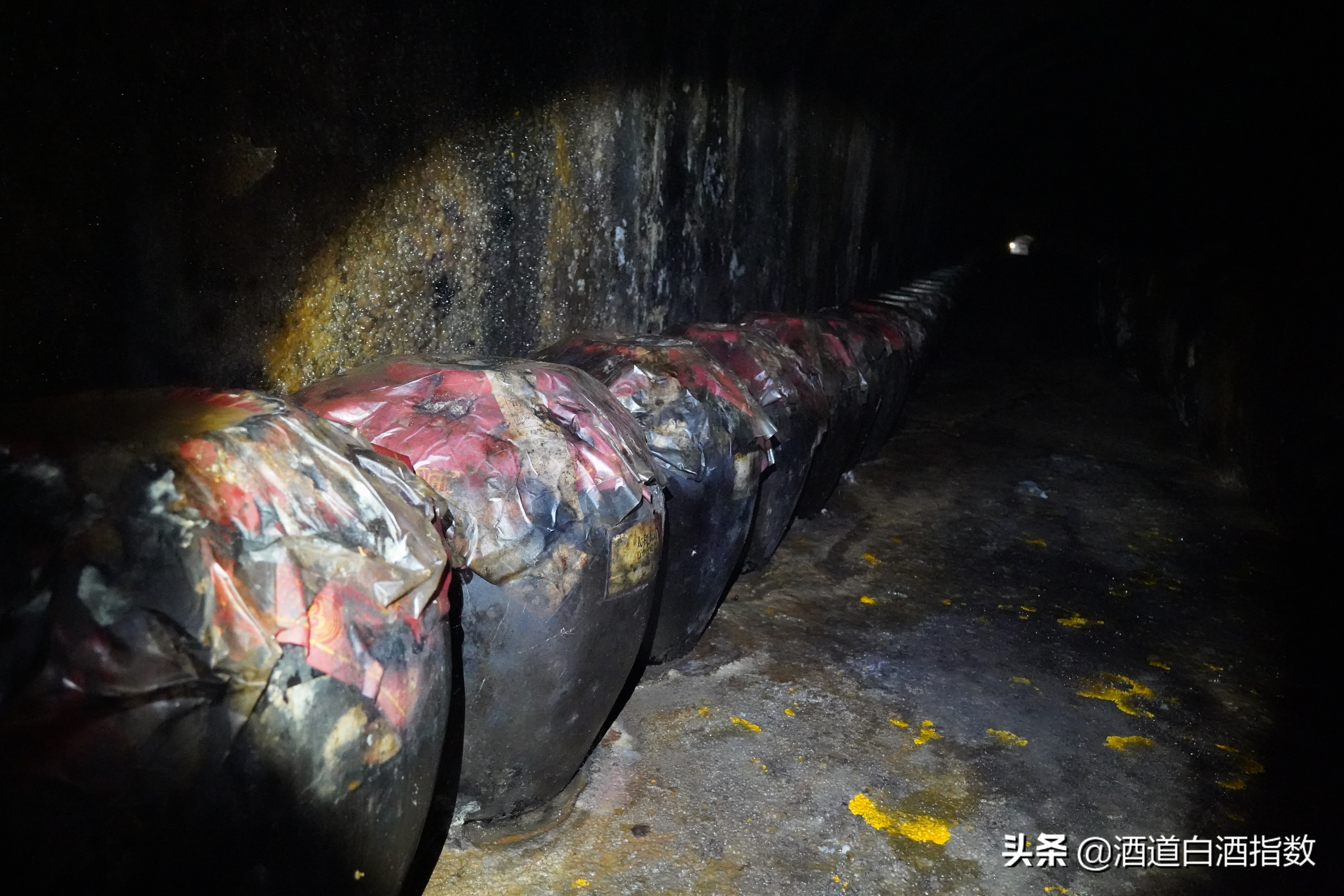 探索深藏闹市的百亿酒窖揭开清朝老酒神秘面纱——袁曦藏老酒会馆