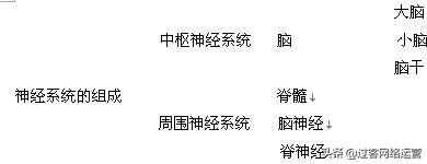 初中生物中考常考知识点,初中生物中考人教版总复习视频