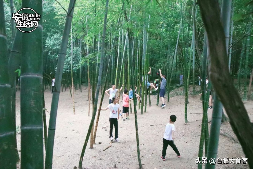 合肥大蜀山的秘密,合肥大蜀山的由来