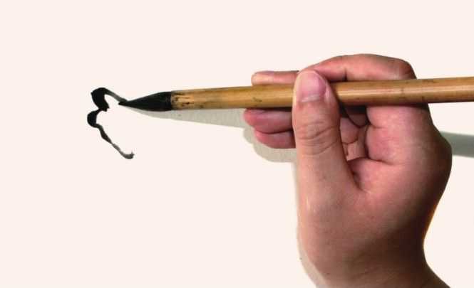 国画牡丹和石头的画法图片,初学国画牡丹花头画法图解