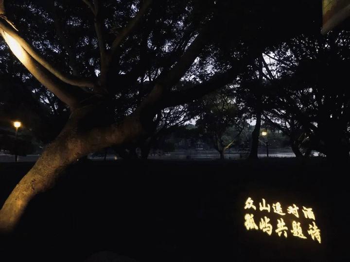 江心屿值得看的地方,最美江心屿