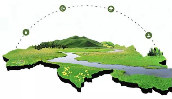 贝斯美辅食油,贝因美辅食怎么样