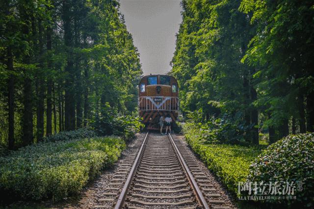 宁波网红游乐推荐,宁波室外十大网红游乐项目