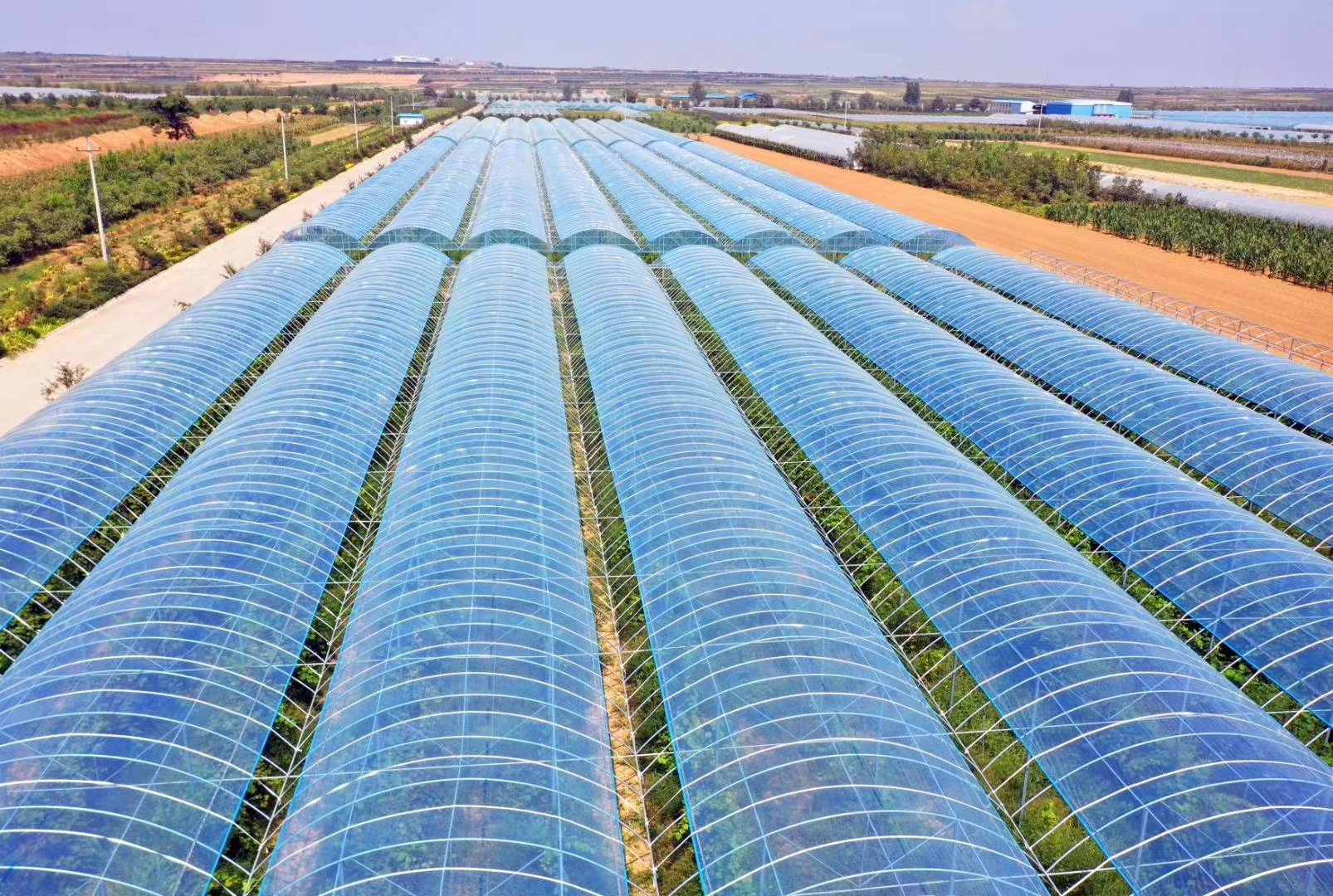 旬阳县助力乡村振兴,合阳县乡村振兴观摩