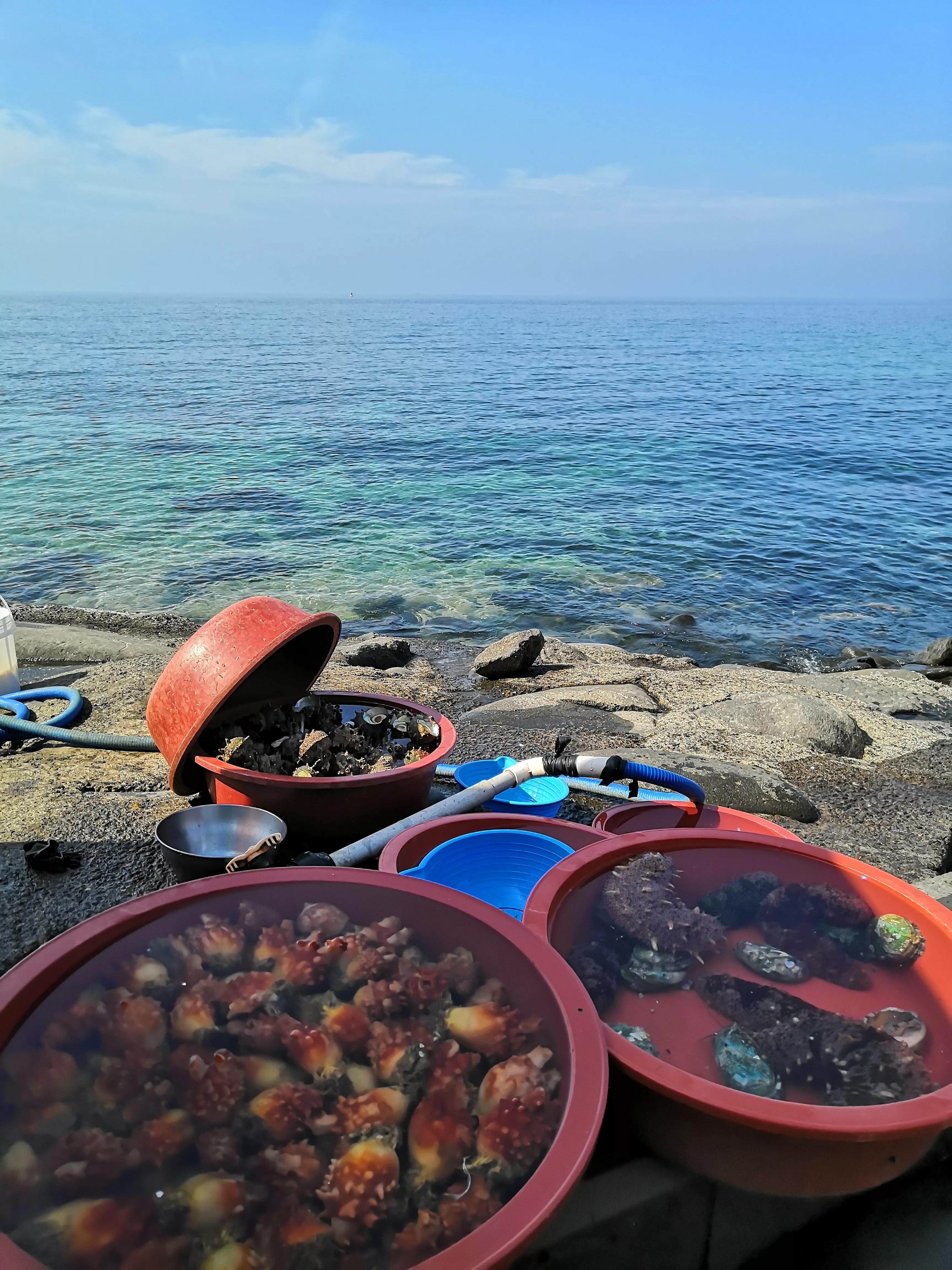 在济州岛发呆的日子,济州岛散心