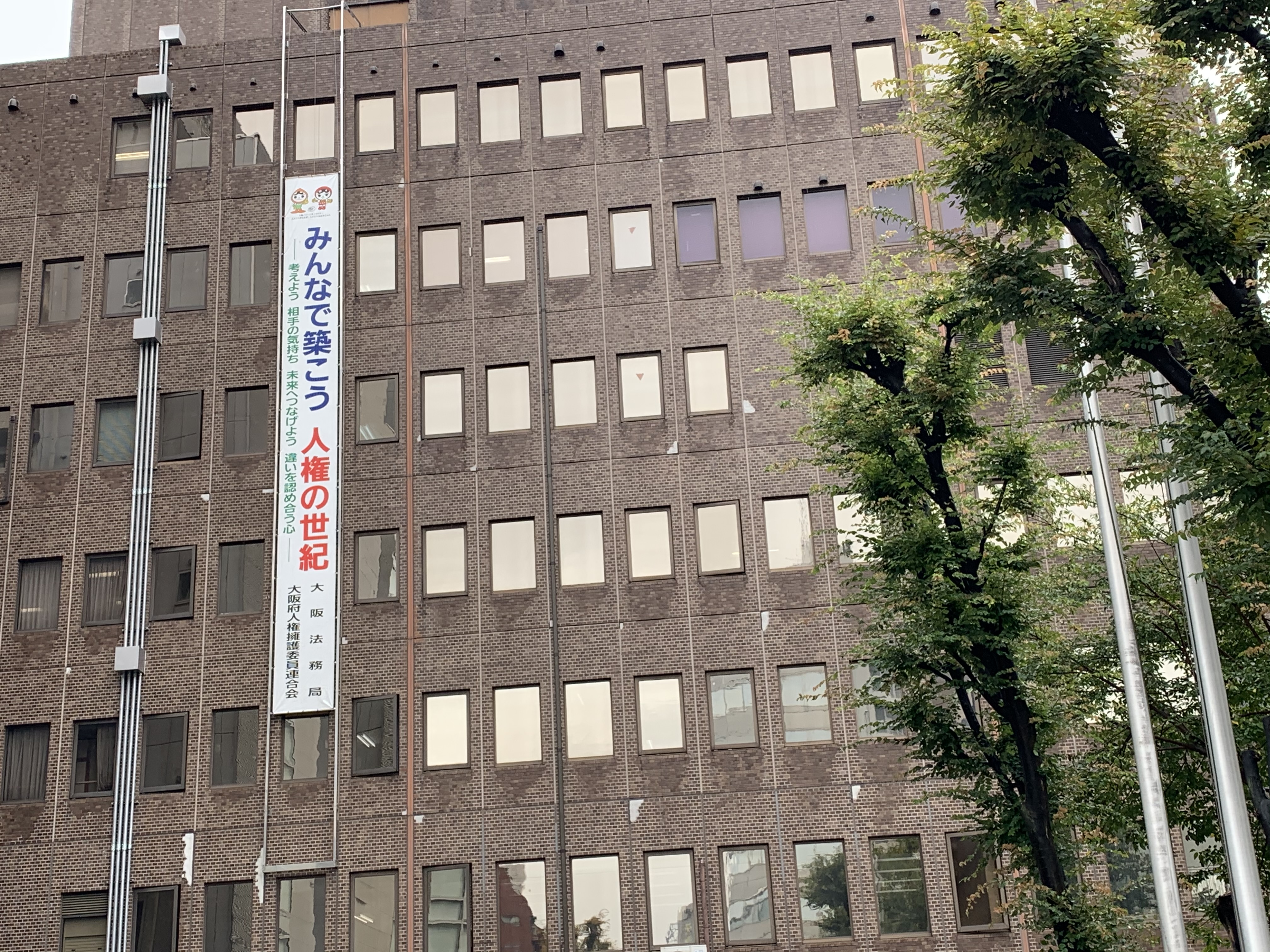 一文看懂日本,一篇文章看懂电商带货