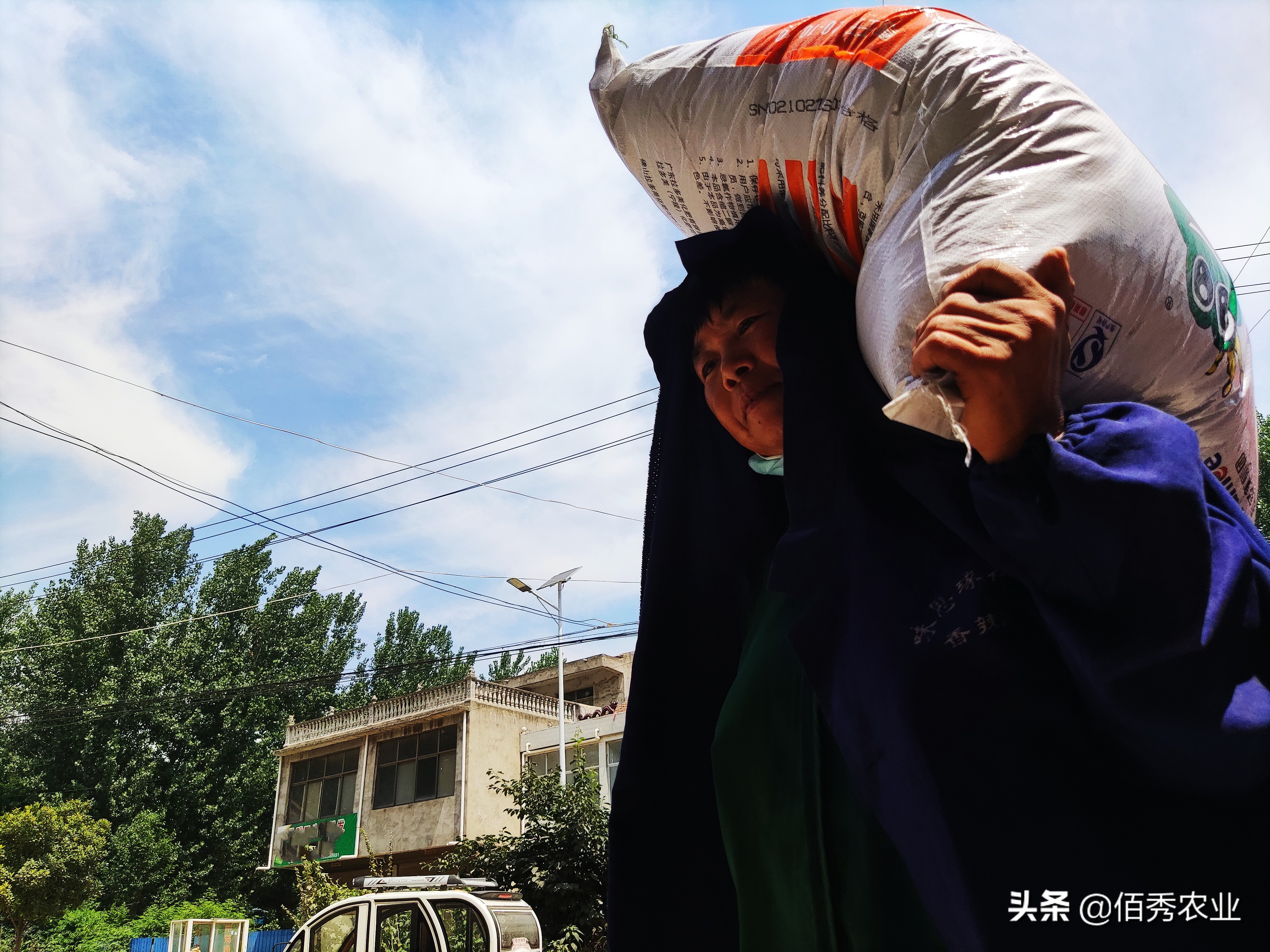 为什么卖化肥最赚钱,农村化肥利润有多大