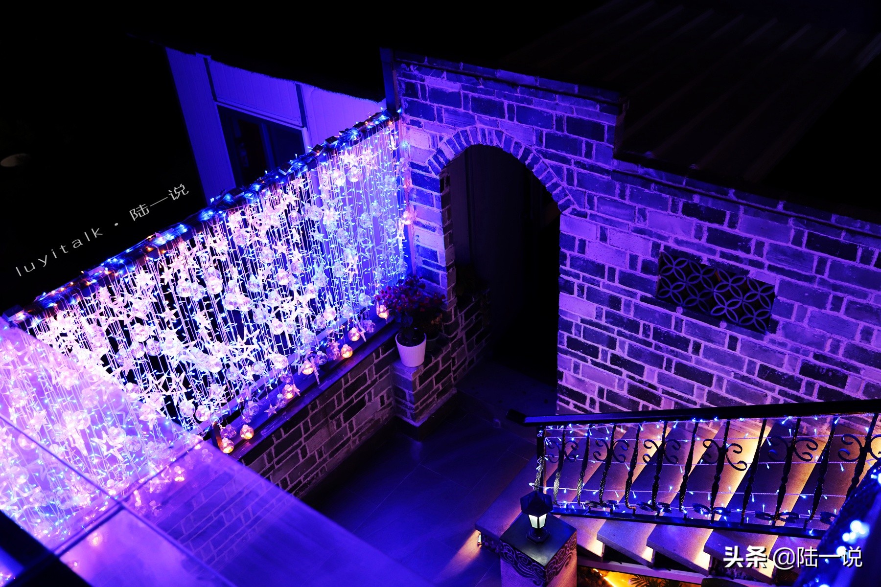 鱼翅海马,鱼翅海马花胶