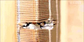 盘点电影中的花式开锁,电影中的一枪开锁在现实能做到么