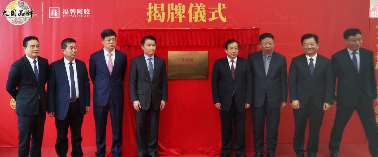 福胶集团的现状,福胶集团在哪