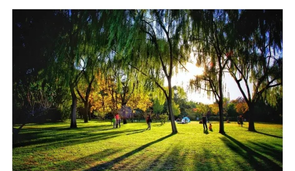 如何才能以小钱挣大钱,年轻人如何小投资赚小钱