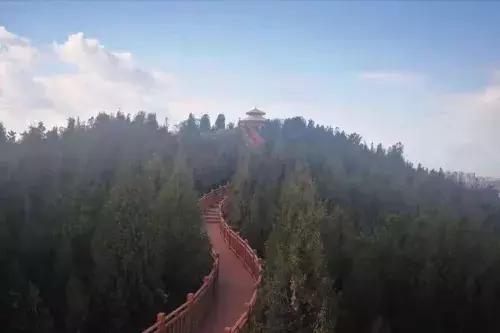 大连椒金山公园,大连椒金山山体公园