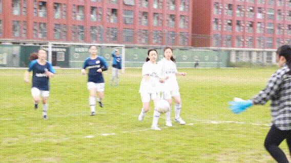 贡嘎杯足球赛四川大学女子,锦江区五人制足球比赛