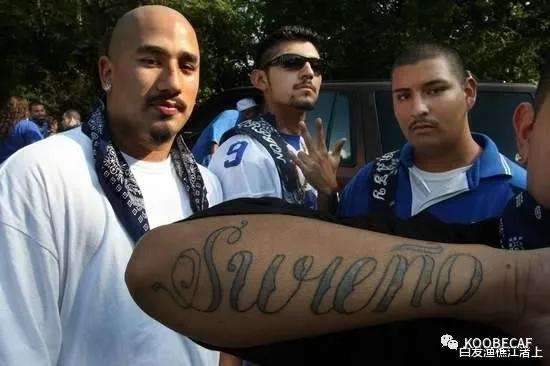 美国拉丁裔帮派,美国白人帮派落寞