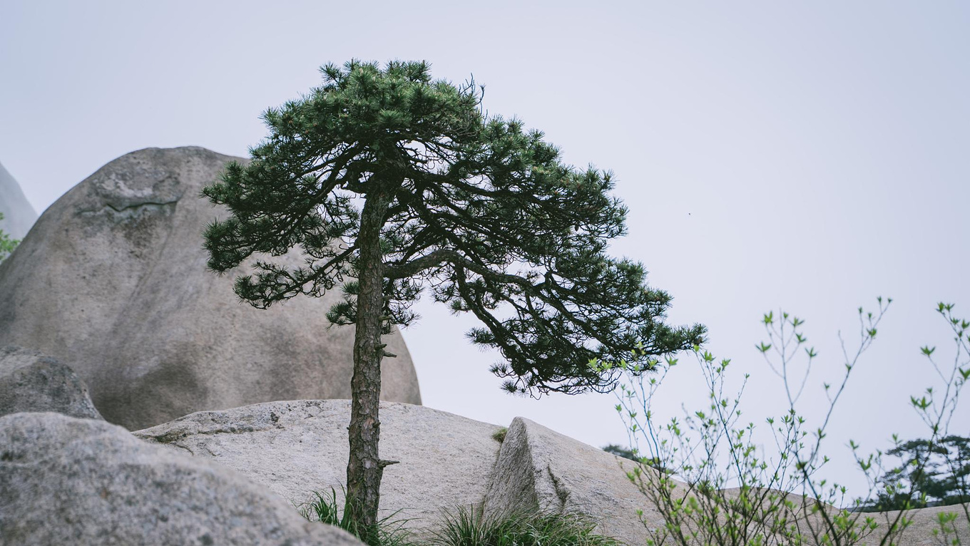 安徽天柱山有哪些好玩的景点推荐,安徽天柱山附近还有什么山