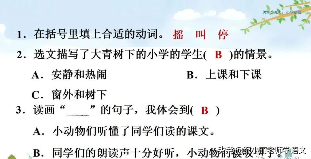 大青树下的小学重点知识点,大青树下的小学重点知识梳理