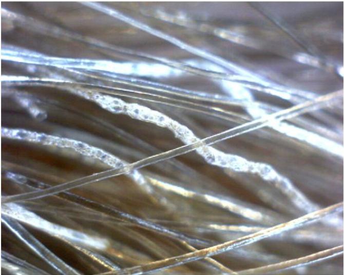 300元吹风机是智商税吗,2000元的吹风机