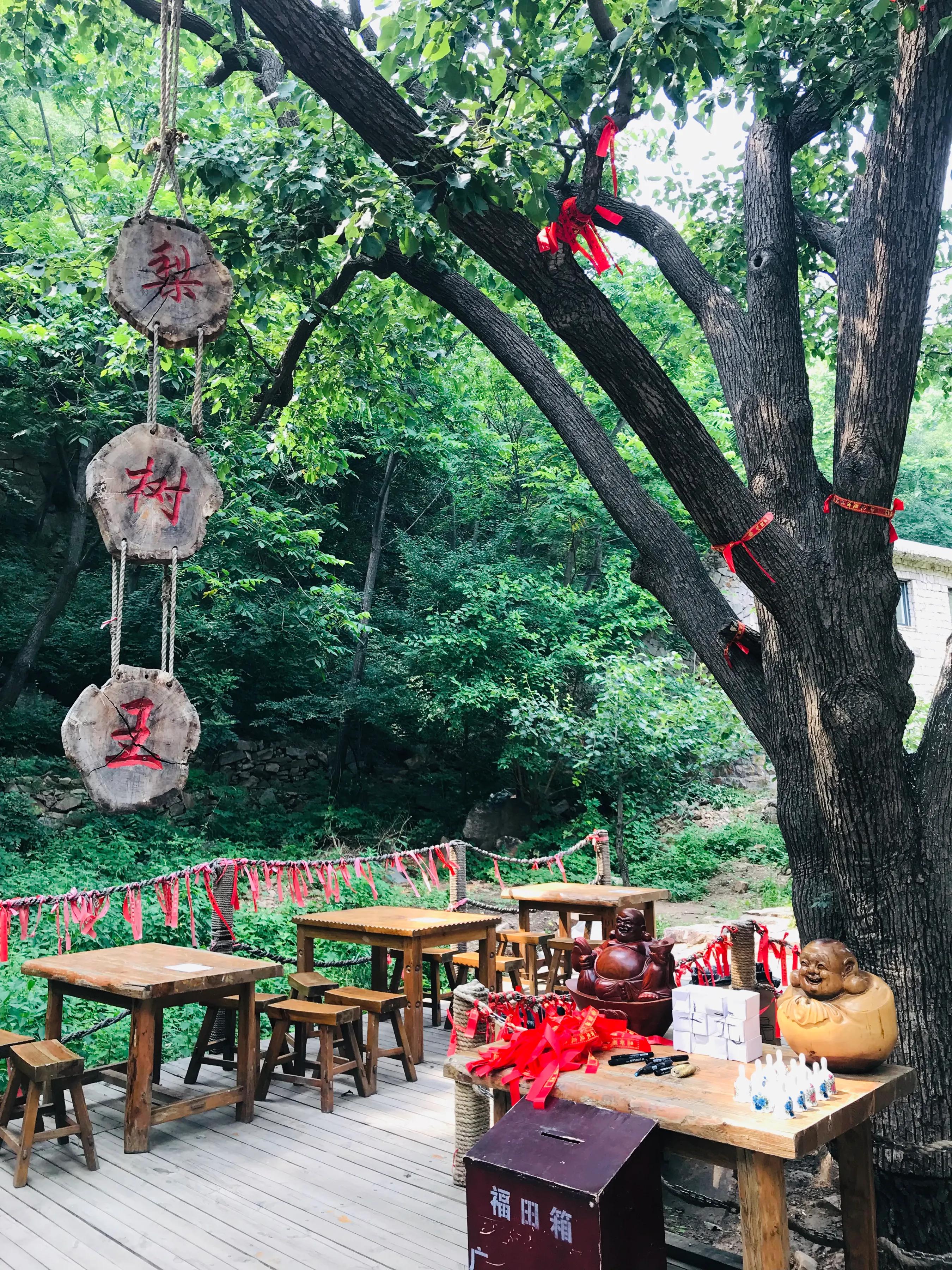 蓟县梨木台绿野山香农家院,天津蓟县梨木台一日游