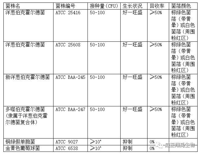 洋葱伯克霍尔德菌谁发现的,伯克霍尔德菌对洋葱有什么危害