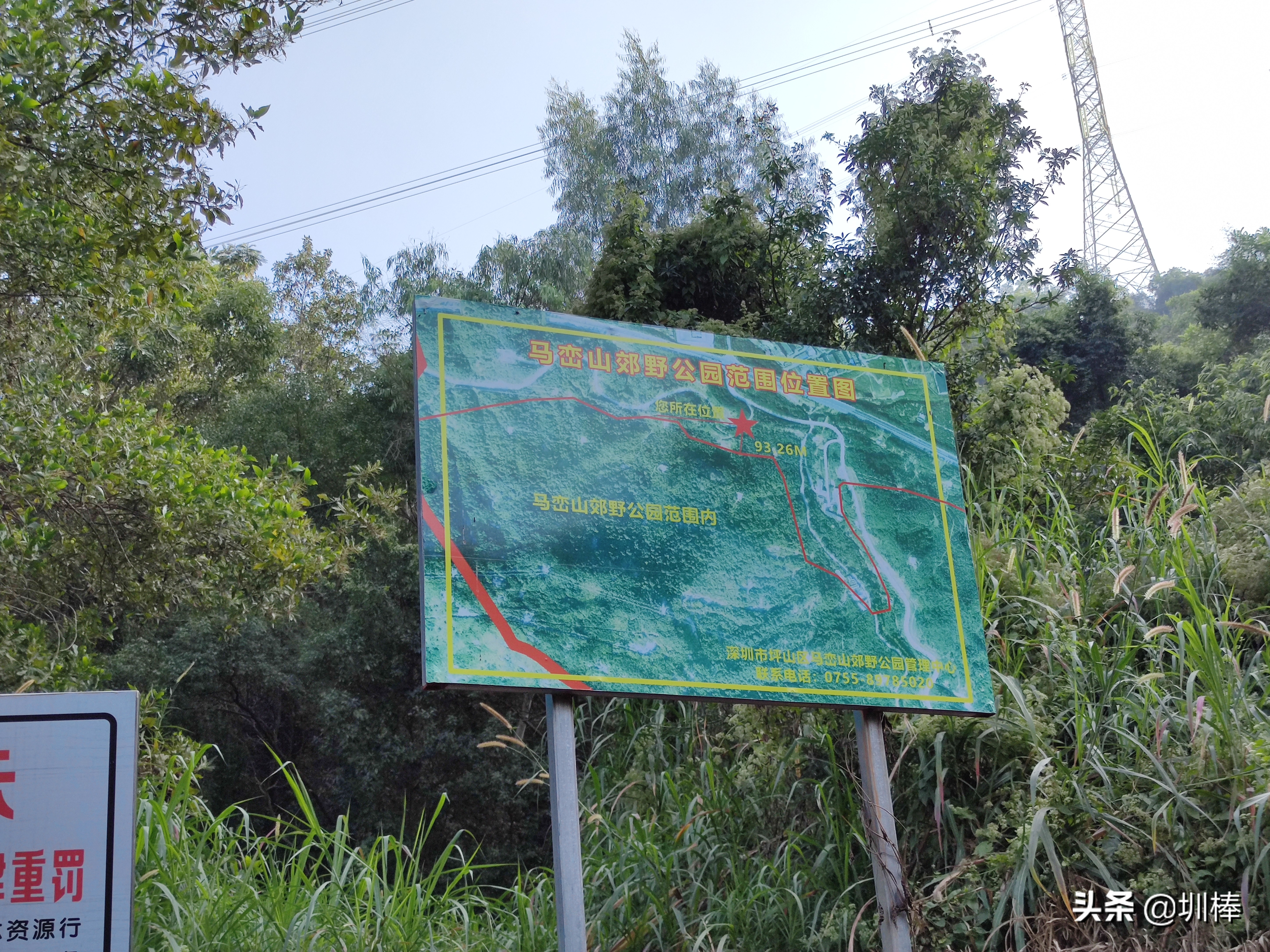 爬深圳山,爬深圳莲花山公园