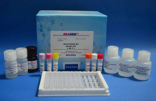 注意这些药物不能嚼碎服用,药物结石怎样形成