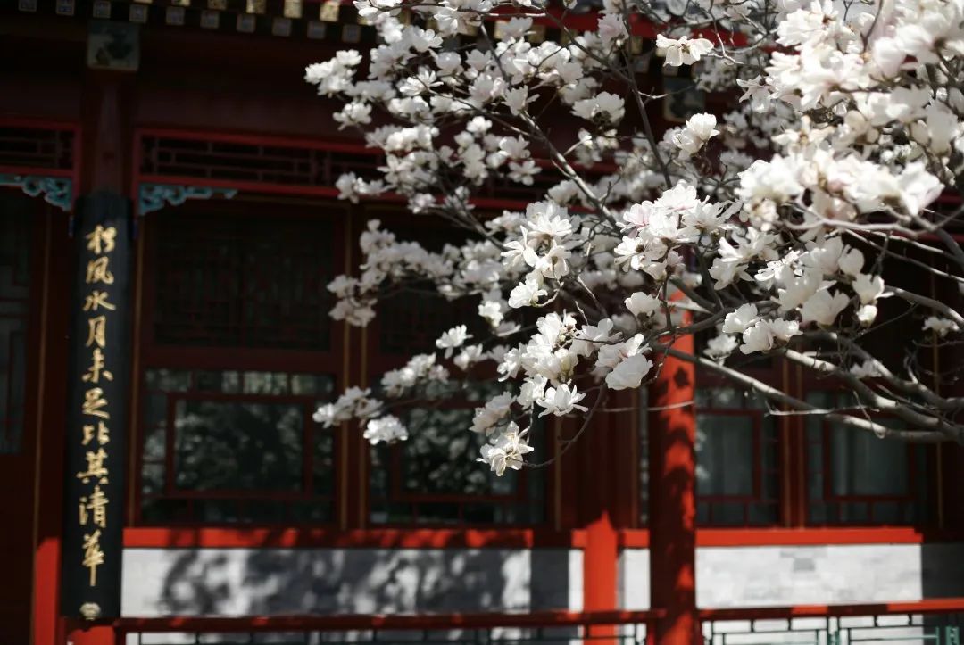 【北大国发院EMBA专访】潘艺琼：凡有所学，皆成性格