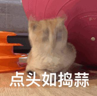 瑜伽开髋排课60分钟体式小人图,瑜伽坐姿热身小人图